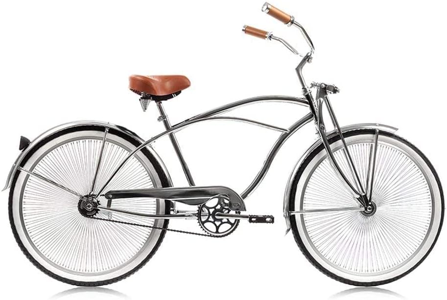 Old beach cruiser discount bike